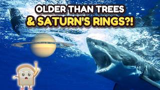 Sharks Are Older Than TREES & Saturn's Rings!