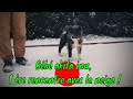 Akita inu premire rencontre avec la neige