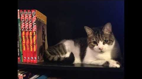 Windows Movie Maker Test