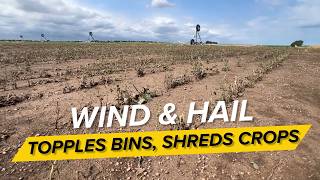 ‘It breaks your heart’: Nebraska farmer recounts devastating June storm