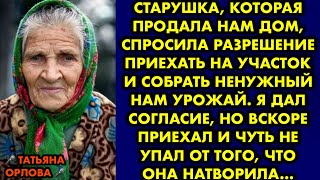 Старушка, которая продала нам дом спросила разрешение приехать на участок и собрать ненужный нам…