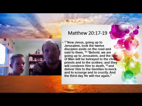 Video preview