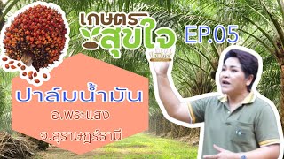 เกษตรสุขใจ by แอมโกรว์ EP.5 สวนปาล์ม อ.พระแสง จ.สุราษฎ์ธานี ปาล์มต้นอวบใหญ่ ทางยาว ทะลายดก ทำอย่างไร