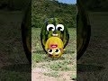 Goodland | Triple birth in the field, watermelon - melon - pear #cartoon #doodles #animation #funny