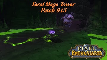 Feral Druid Mage Tower Patch 9.1.5