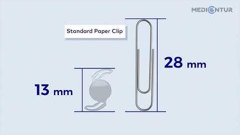 The Basics of Vision