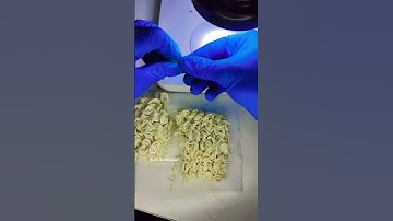 Maggi in microscope 🔬🔬🔬🔥💯❤️🙏🔥💯❤️🔬 #ajay