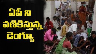Dengue On The Rampage In Ap Tv5 News