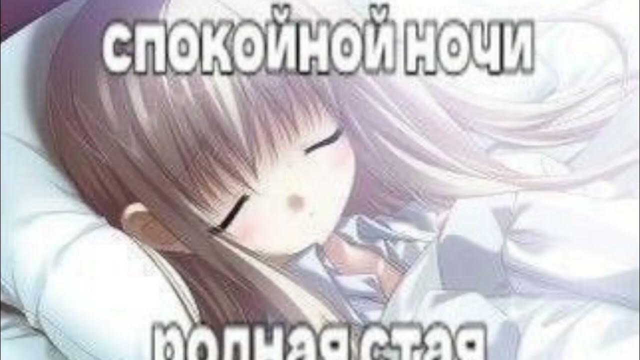 Мемы с волками. Красивые животные волки обои. Спокойной ночи родственники. Сладких снов волк. Спокойной ночи родная стая.