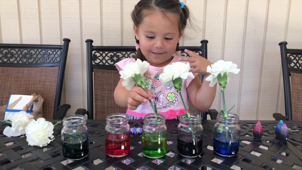 Learning With Science: Flowers - YouTube