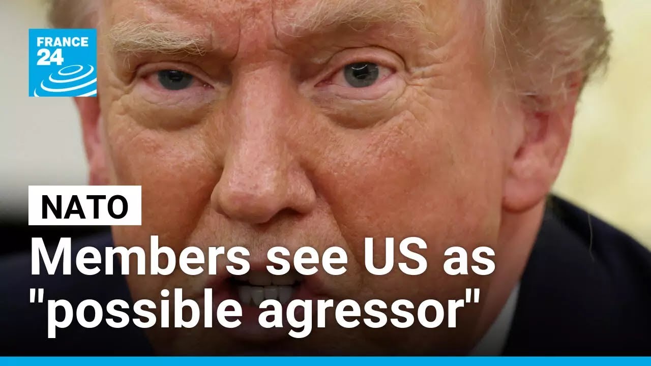 NATO countries now see the US as a "possible agressor" • FRANCE 24 English