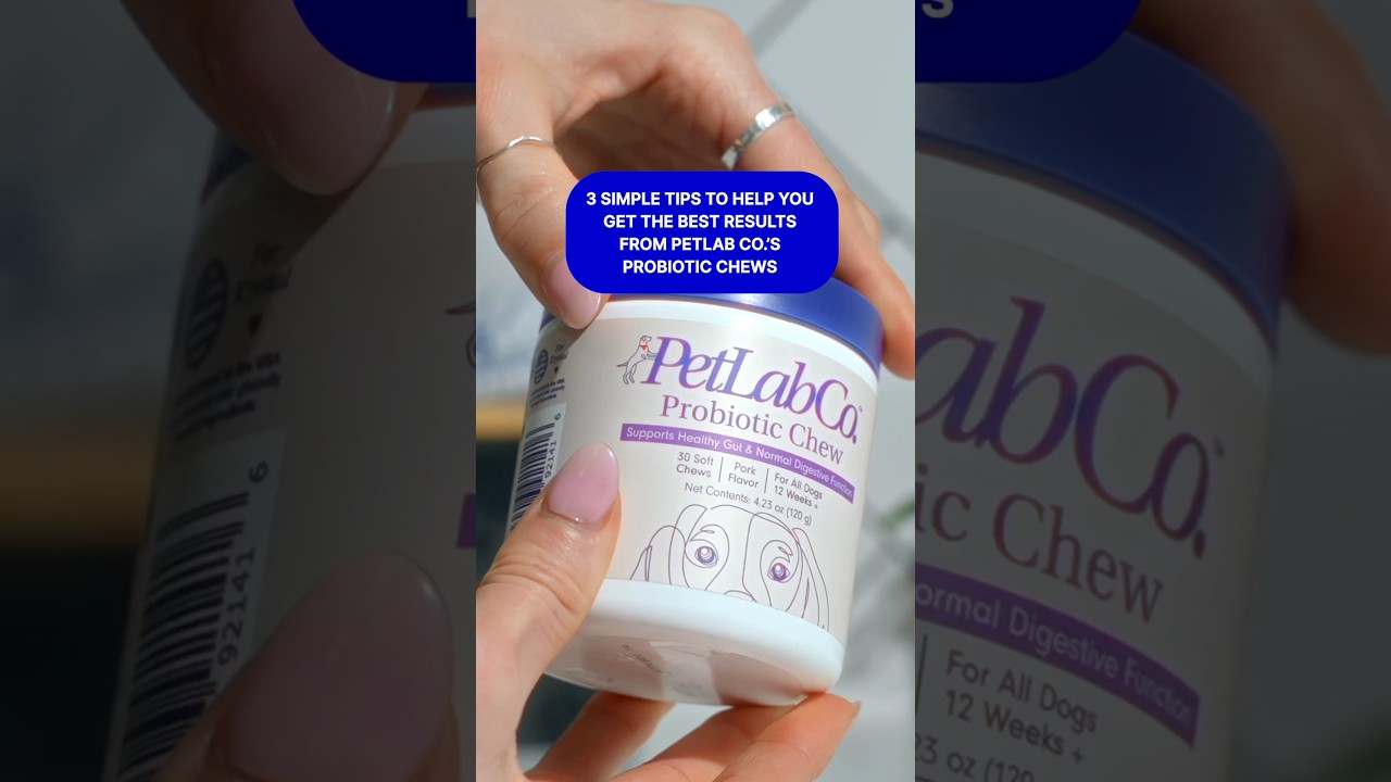 3 Tips To Help You Get The Best Results From PetLab Co.’s Probiotic Chews