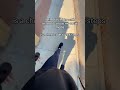 I love the StepTok app