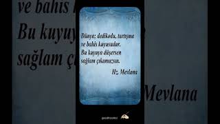 Bir Özlü Söz - Dünya Dedikodu, Tartışma Ve Bahis Kuyusudur. Bu Kuyuya Düşersen Sağlam Çıkamazsın.