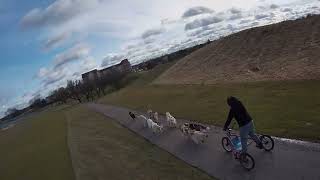 Dog Sled Demo 12/11/22 Chase Cam [RAW Flights]