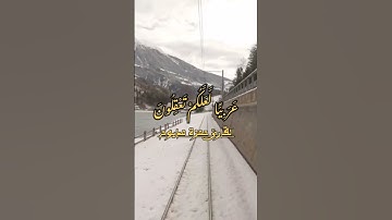 سورة يوسف وكانك تسمعها لأول مرة 🌺🌸💖بصوت الشيخ حمزة مدبوح 💔💝🌺🌼