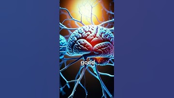 How To Transform Your Mindset | The Power of Positivity #success #lifelesson #mindset #motivation