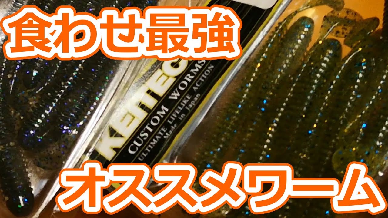 キジハタ 釣果 コスパ 両方文句ナシのロックフィッシュ爆釣ワーム カサゴ Youtube