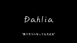 Dahlia