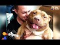 Happy Pit Bull Dog Loves It When His Dad Babies Him | The Dodo Pittie Nation