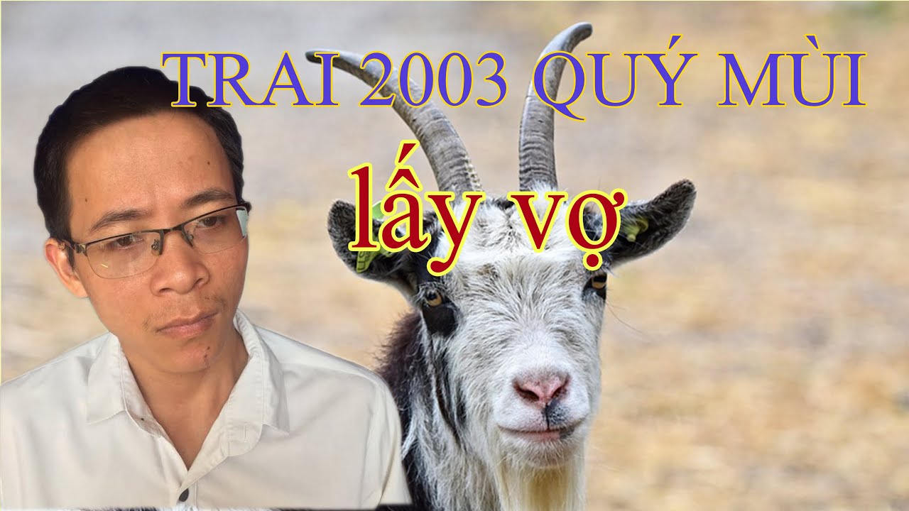 trai 2003 quý mùi lấy vợ tuổi nào giàu sang phú quý ?