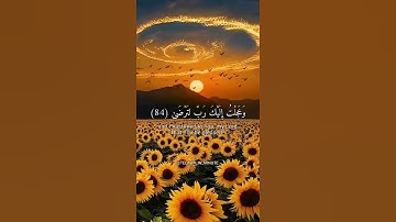 وعجلت إليك ربّ لترضى .. القرآن الكريم