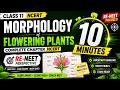 Morphology of Flowering Plants in 10 Minutes 🔥 | Class 11 NCERT Biology | RE-NEET Revision