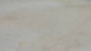 Dee Kosh vs Preetipls and Subhas Nair part 1