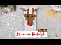 Macrame Rudolph Tutorial | Christmas Wall Hanging Decoration