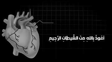 تلاوة تأثر القلب والروح ب صوت | القارئ شريف مصطفي اواخر سورة العنكبوت | (كل نفس ذائقة الموت)