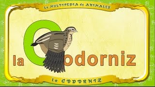 La Multipedia De Animales. Letra C - La Codorniz