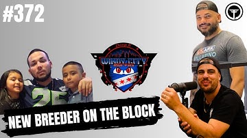 Is wanting to make money breeding Ball Pythons a BAD thing?