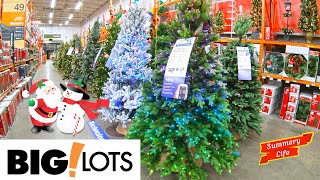 ENTIRE BIG LOTS STORE CHRISTMAS ITEMS WALKTHROUGH COMPILATION CHRISTMAS TREES DECOR CHRISTMAS LIGHTS