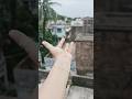 #shorts #magic #trending #trendingshorts #shortsfeed #trend #magictrickssecret #youtubeshorts #yt