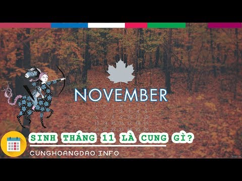 Video Sinh tháng 11 là cung hoàng đạo gì? | CUNGHOANGDAO.INFO - youtube
