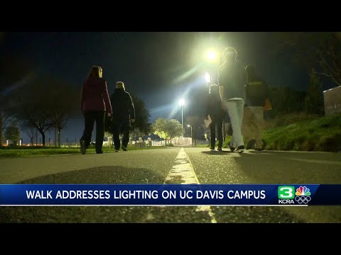Annual nighttime walk