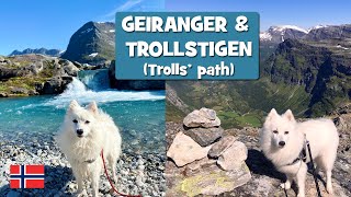 SPITZ on board the Norwegian SCENIC ROUTE Geiranger – Trollstigen (Trolls’ path) by MollytheSpitz 1,100 views 3 years ago 7 minutes, 56 seconds