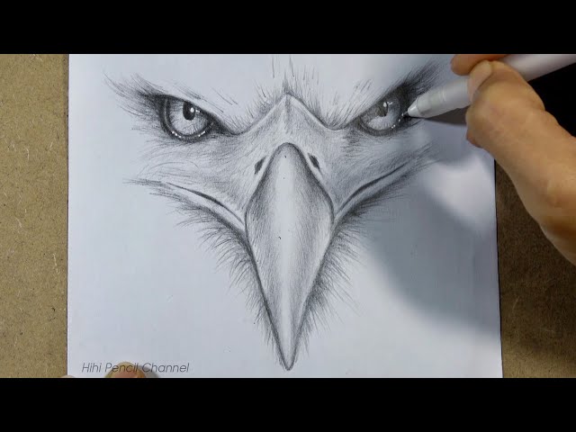 Premium Vector | Flying eagle logo black power bird symbol