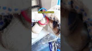 electrical tipslife hackslife tipsuseful trickshandy tips #lifehacks #lifetips #usefultricks #tips