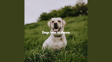 Soulful Backdrops for Puppy Afternoon Naps