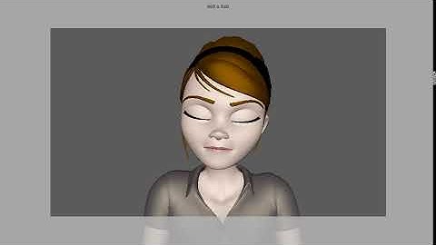 Facial Expressions Practice Animation