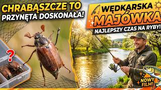 ZAŁÓŻ TĄ PRZYNĘTĘ W MAJU I WSZYSTKIE RYBY TWOJE