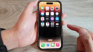 iPhone 14's/14 Pro Max: How to Enable/Disable Safari Auto-Fill of Contact Info & Credit Card Details