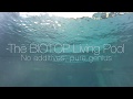 Biotop living pools do not have to have plants