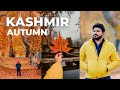 Kashmir in autumn  itinerary stay  expenses  srinagar  sunny gala