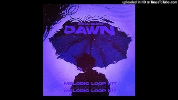 FREE Loop kit / Melodic Loop kit - "DAWN" | various styles | Loop kit 2023