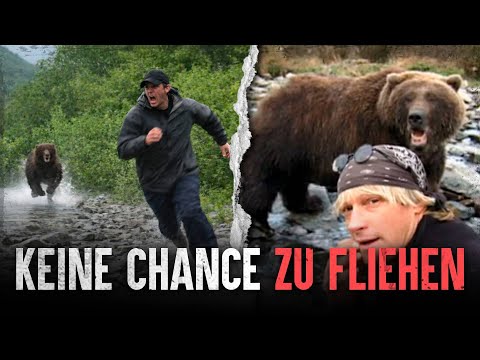 Deadly bear encounters and real survival tips