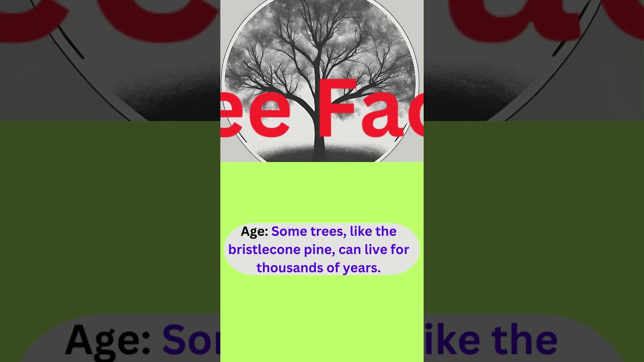 The Incredible World of Trees: 15 Mind-Blowing Facts you need to know||Amazing trees||Tree Trivia||