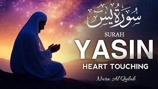 Surah Yasin, Sang Pengusir Setan dan Penyembuh Segala Macam Penyakit, Al-Quran yang Merdu | Oleh Alaa Yasser