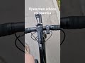 velosamba контакты (adidas)